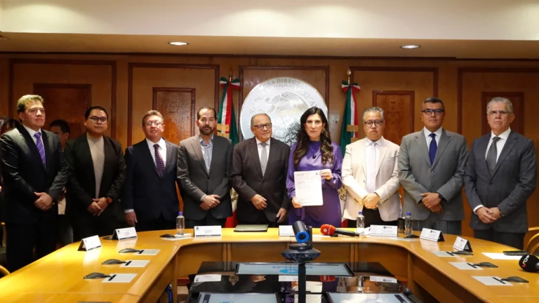 Reforma electoral en México: organizaciones y especialistas piden cambios para fortalecer la democracia